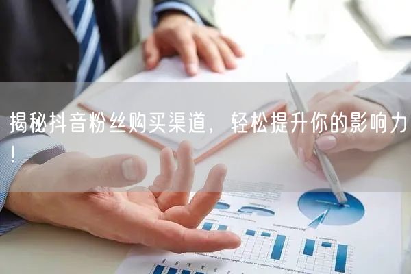 揭秘抖音粉丝购买渠道，轻松提升你的影响力！