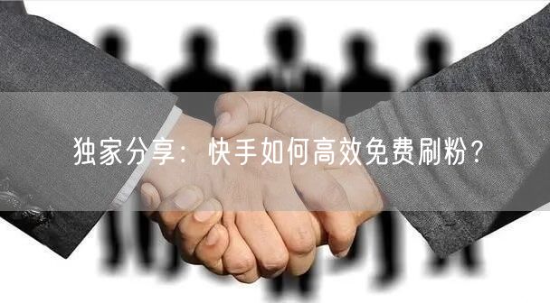 独家分享:快手如何高效免费刷粉?