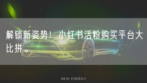 解锁新姿势!小红书活粉购买平台大比拼。