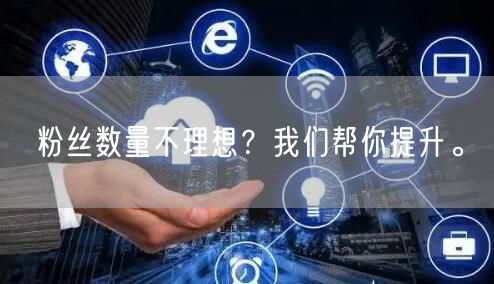 粉丝数量不理想？我们帮你提升。