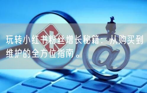玩转小红书粉丝增长秘籍:从购买到维护的全方位指南。