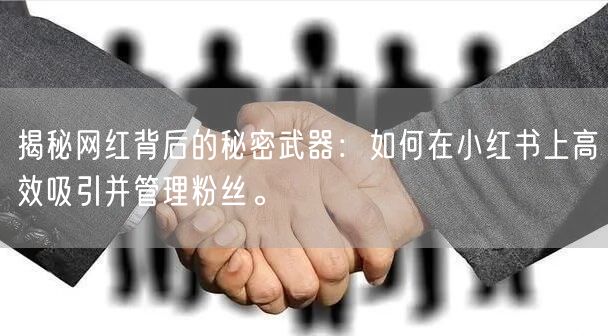 揭秘网红背后的秘密武器:如何在小红书上高效吸引并管理粉丝。